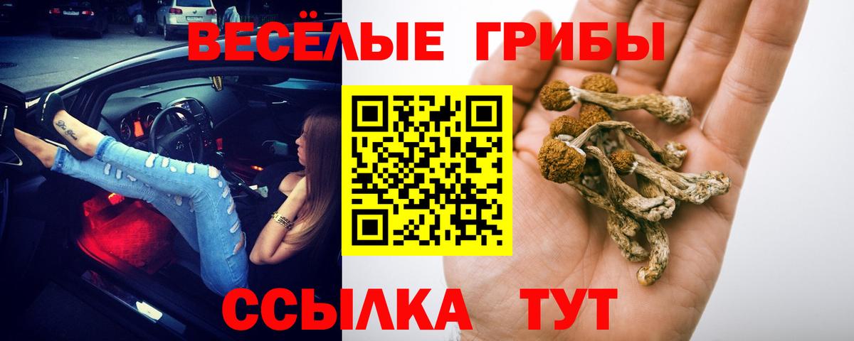 Галлюциногенные грибы Psilocybine cubensis Кинешма