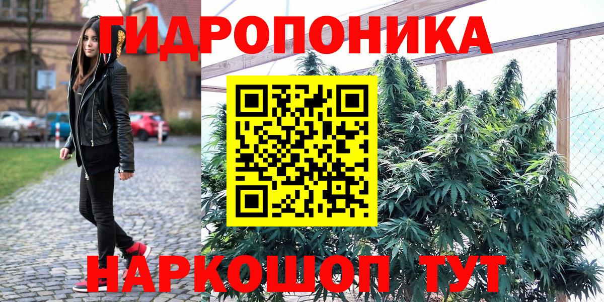 Кинешма  Шишки марихуана SATIVA & INDICA  Каннабис сатива  Вход с VPN 